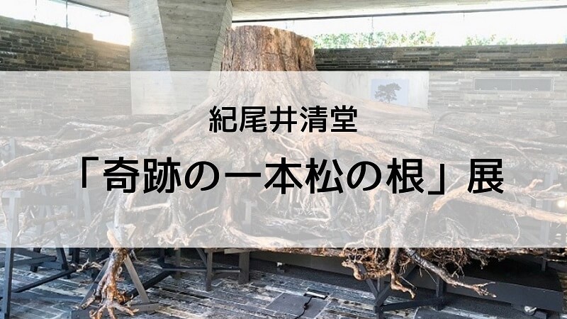 紀尾井清堂の「奇跡の一本松の根」展に行ってきました！